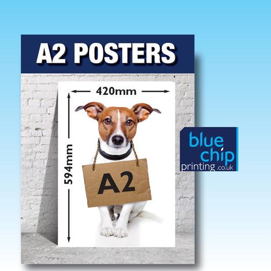 A2 Printed Posters | Size 594mm x 420mm