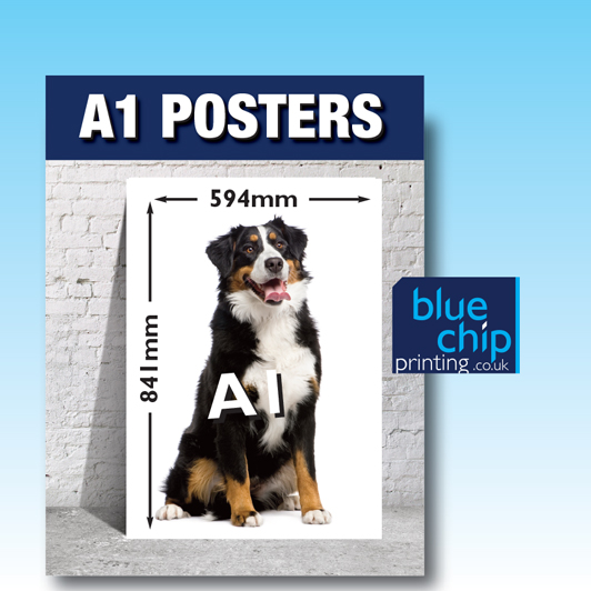 A1 Printed Posters | Size 841mm x 594mm